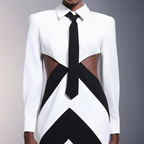 Cut Out Tie Mini Dress - Picture 3 of 16